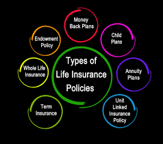 Understanding the Different Types of Life Insurance